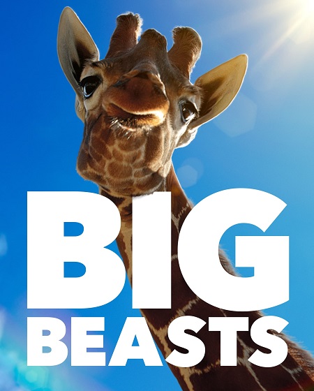 مسلسل Big Beasts الموسم الاول الحلقة 3 مترجمة