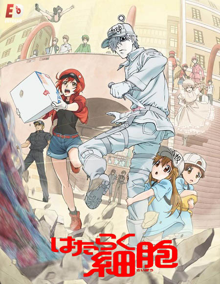 انمي Cells at Work الموسم الثاني الحلقة 1 مترجمة