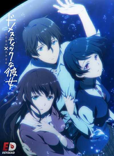 مشاهدة انمي Domestic na Kanojo الحلقة 1