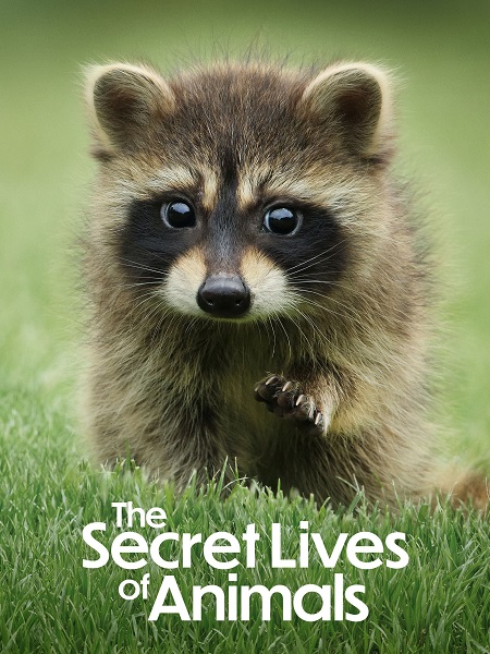 مسلسل The Secret Lives of Animals الموسم الاول الحلقة 1 مترجمة