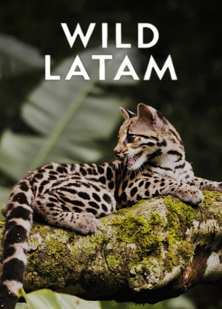 مسلسل Wild Latam الموسم الاول الحلقة 2 مترجمة